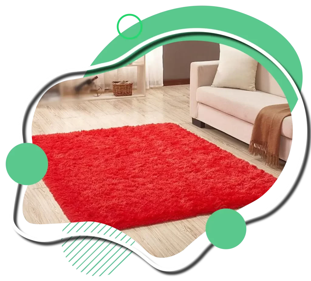 Modern Red Shaggy Rugs