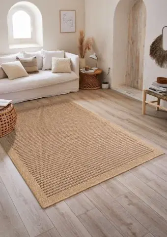Natural Sisal Carpets with Sofa