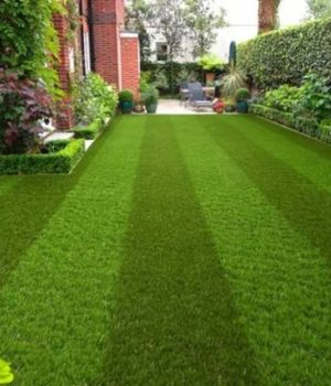 Artificial grass Turf For Home Lawn