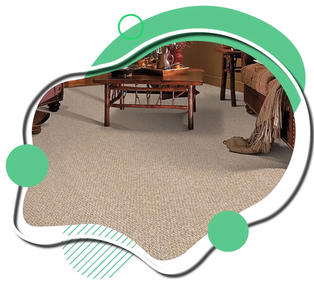 Brown Carpet Flooring