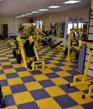 Gym Carpet Tiles in Abu Dhabi