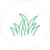 Lush Green Aesthetic