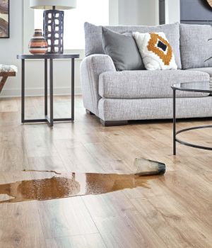 Waterproof Livingroom Flooring