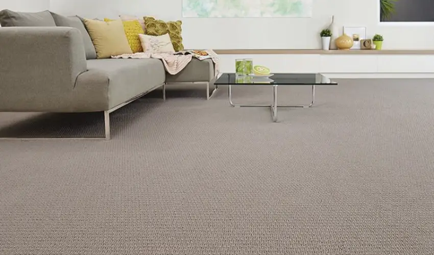 Brown Home Carpets