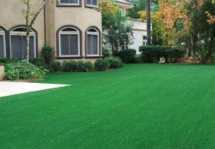 Artificial Grass in Al Ain