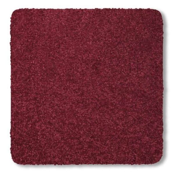 Bliss Rouge Red Carpets - Image 2
