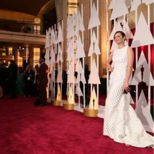 Burgundy Velvet Award Event Carpets