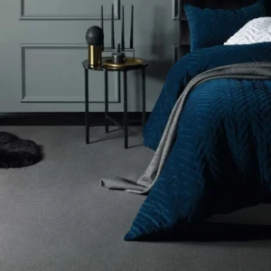 Charcoal Grey Nylon Wall to Wall Carpets