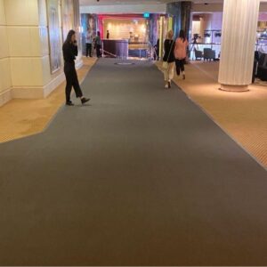 Charcoal Matte Event Carpets