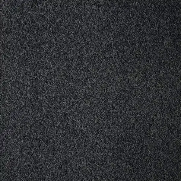 Dark Charcoal Nylon Wall to Wall Carpets - Image 2