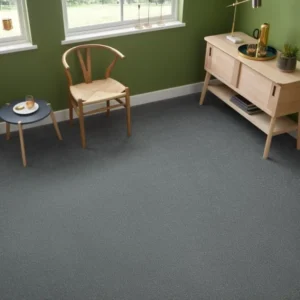Graphite Wool Livingroom Carpets