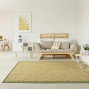 Green Border Natural Sisal Rugs