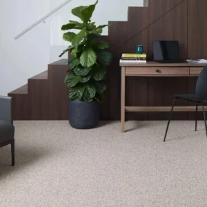 Light Taupe Wool Blend Wall to Wall Carpets
