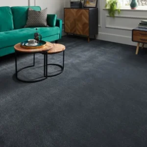 Midnight Velvet Livingroom Carpets