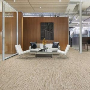 Modern Line Striped Carpet