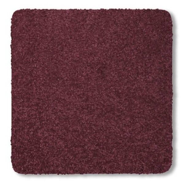 Rosewood Velvet Red Carpets - Image 2