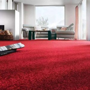 Ruby Shag Red Carpets