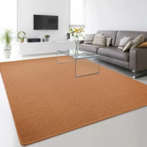 Terracotta Sisal Area Rugs
