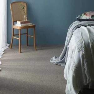 Warm Grey Wall to Wall Carpets