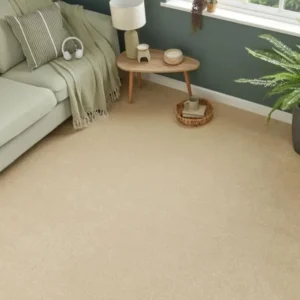 Wool Livingroom Carpets