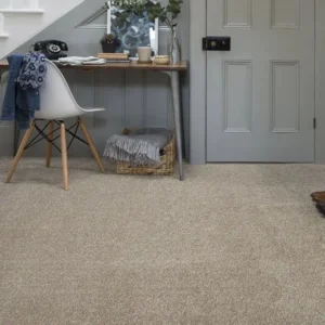 Light Beige Plush Texture Carpet