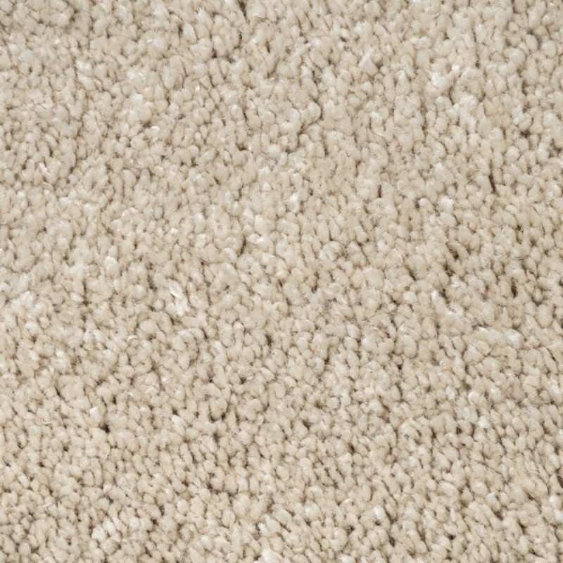 Light Beige Plush Texture Carpet Close view