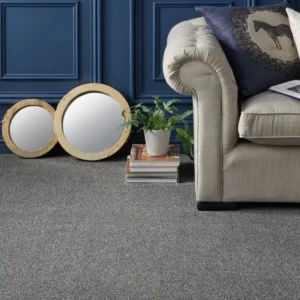 Modern Grey Floor Carpet