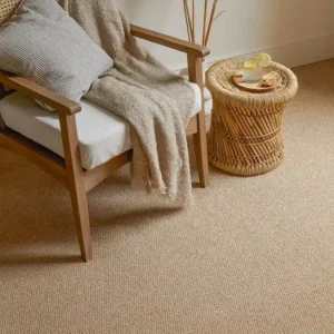 Textured Weave Wool Carpet