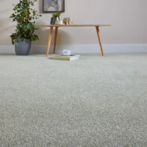 Elegant Grey Saxony Carpet