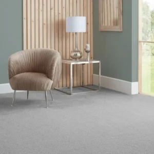 Light Grey Comfort Carpet