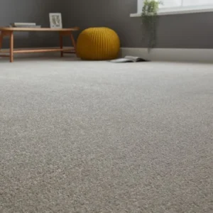 Warm Grey Home Carpet