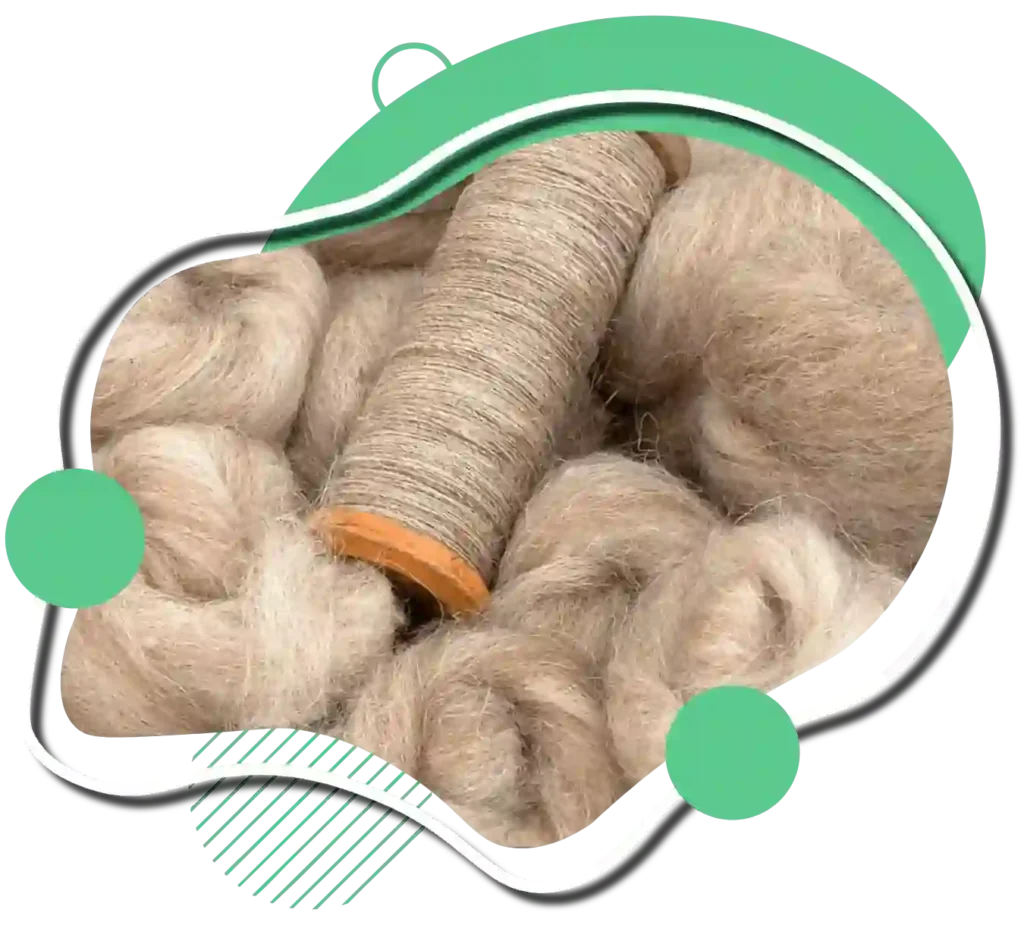 Wool Carpets Supplier in Al Raha Beach