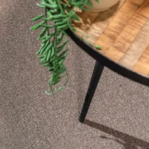 Cormo Wool Blend Carpet 1