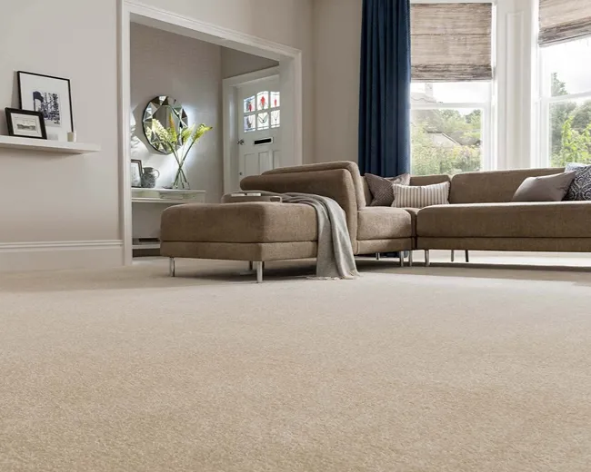 Living Room Carpet
