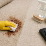 How to Remove Stains from Carpet Easy Tips for a Clean Carpet