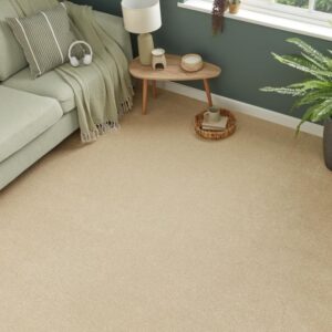 Marbella Office Carpets