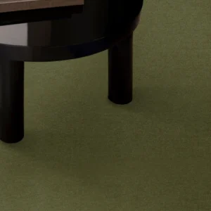 Moss Wall to Wall Carpets